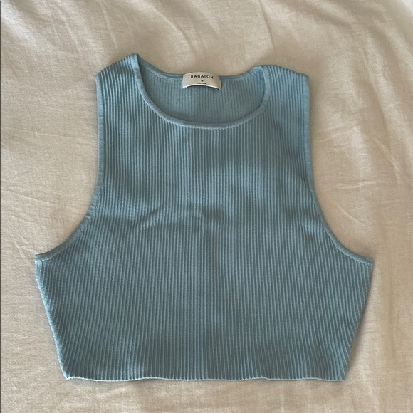 Aritzia Tops - Aritzia Babaton Sculpt Knit Tank Top